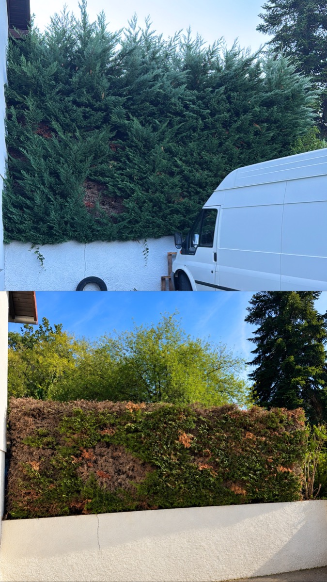 Chantier d'entretien de jardin réalisé par ORC JARDIN MONTAUBAN, paysagiste, près de Montauban